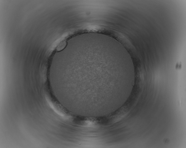 X0000113320496200909211159