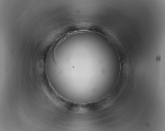 X0000113320498200909211159