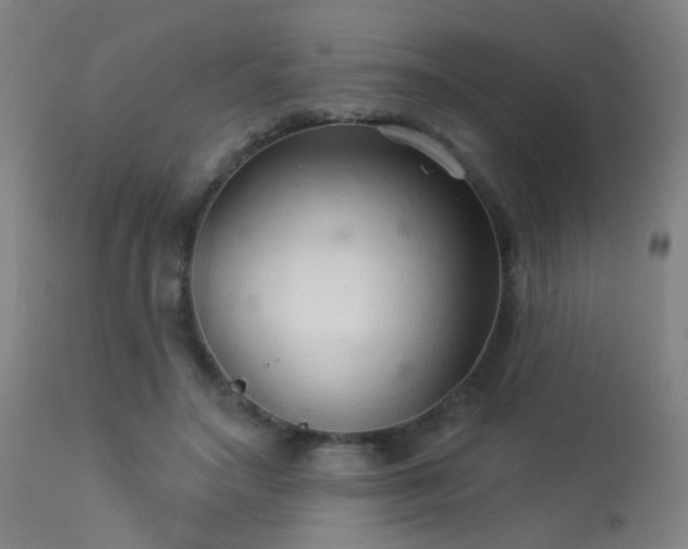 X0000113320499200909211159