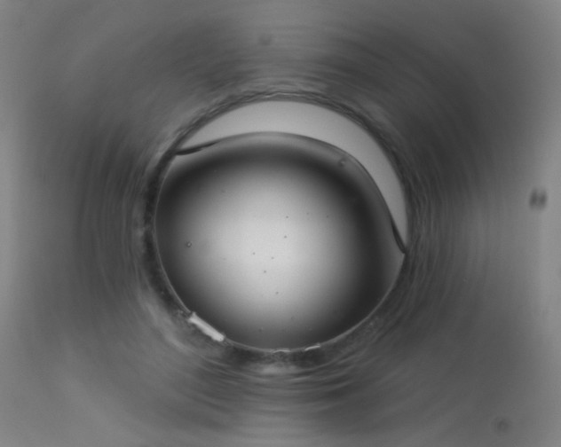 X0000113320500200909211159