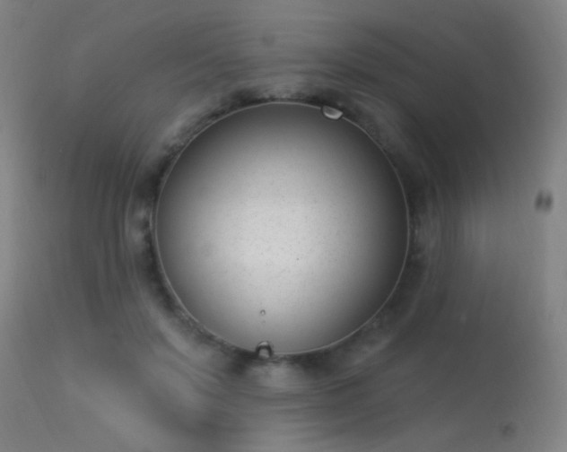 X0000113320503200909211159