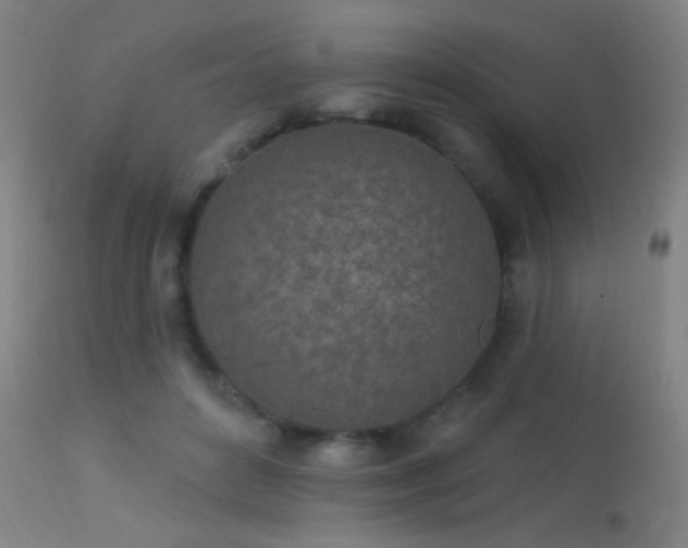 X0000113320504200909211159