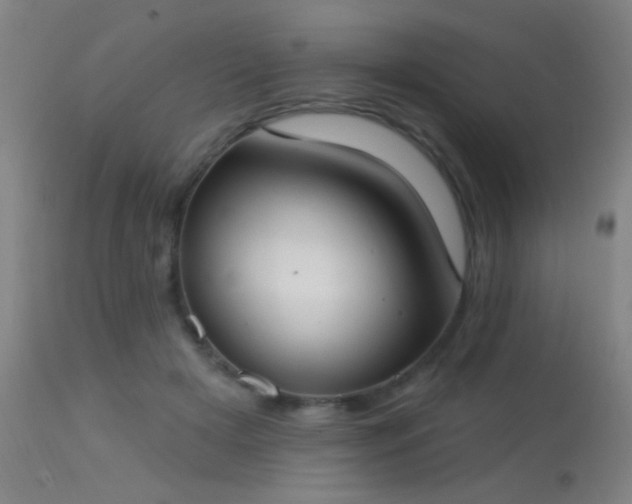 X0000113320505200909211159