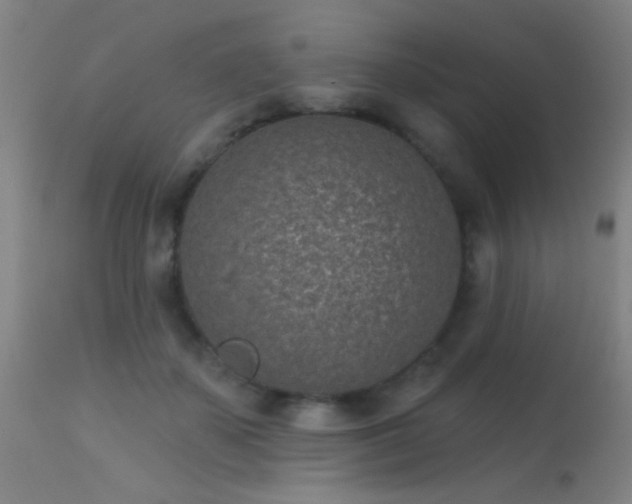 X0000113320507200909211159