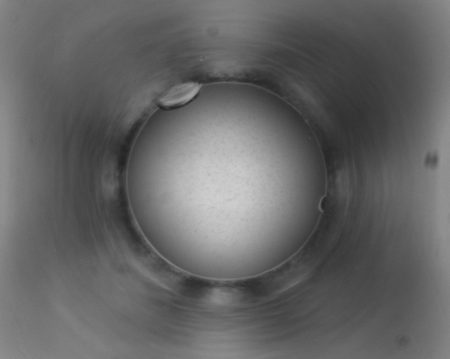 X0000113320508200909211159