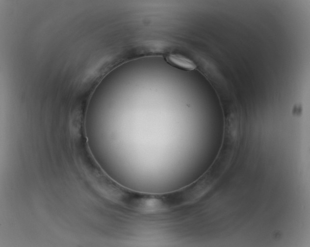 X0000113320509200909211159