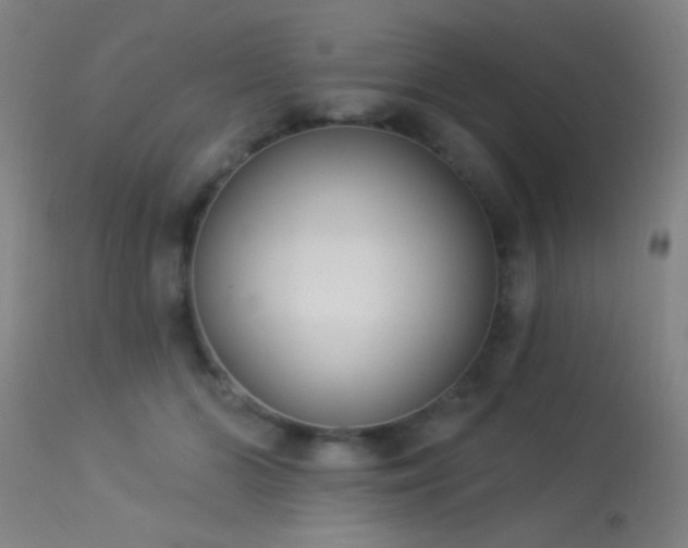 X0000113320510200909211159