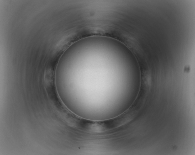 X0000113320511200909211159