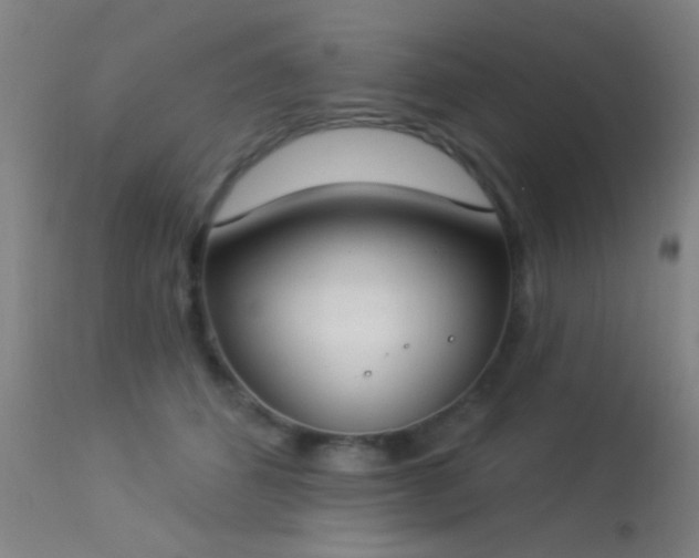 X0000113320512200909211159