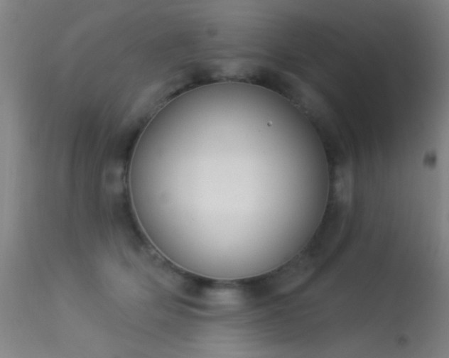 X0000113320514200909211159