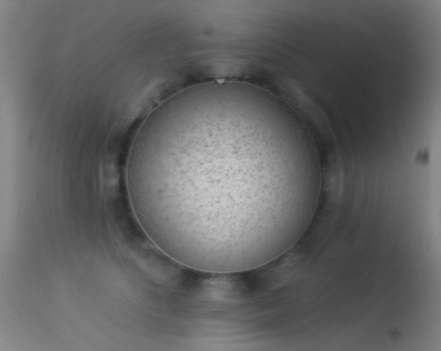 X0000113320516200909211159