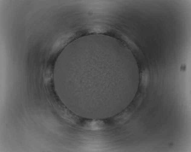 X0000113320517200909211159