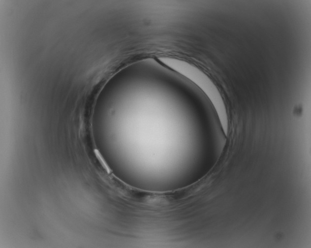 X0000113320520200909211159