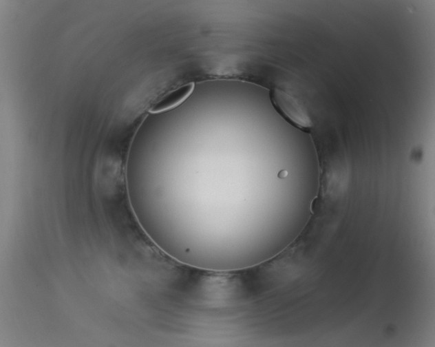 X0000113320521200909211159