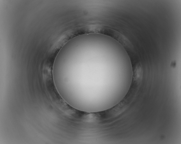 X0000113320522200909211159