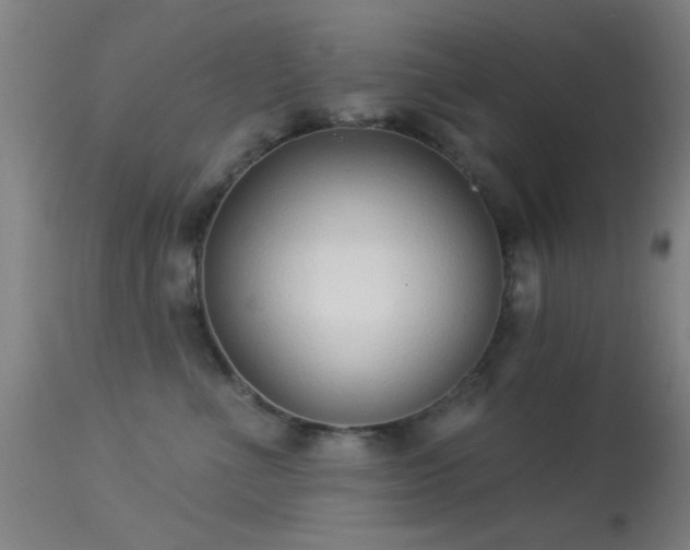 X0000113320523200909211159