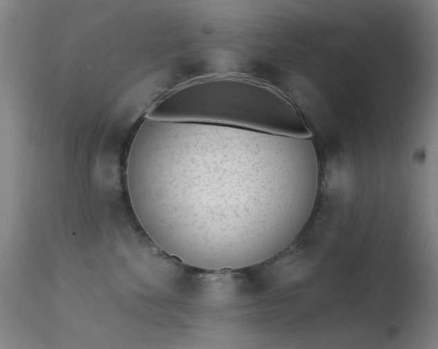 X0000113320524200909211159