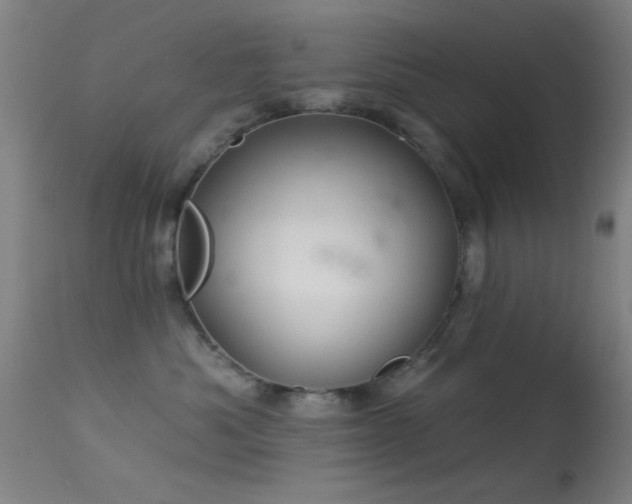 X0000113320525200909211159