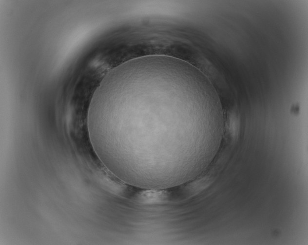 X0000113320526200909211159