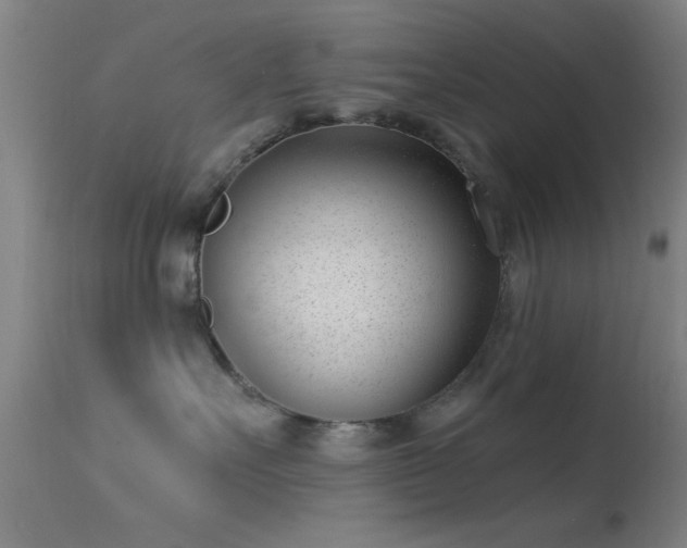 X0000113320527200909211159