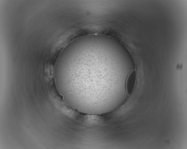 X0000113320528200909211159