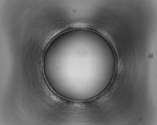 X0000113320529200909211158