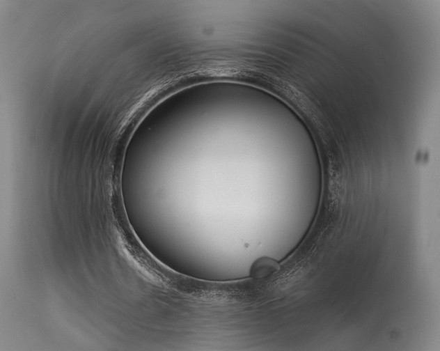 X0000113320530200909211158