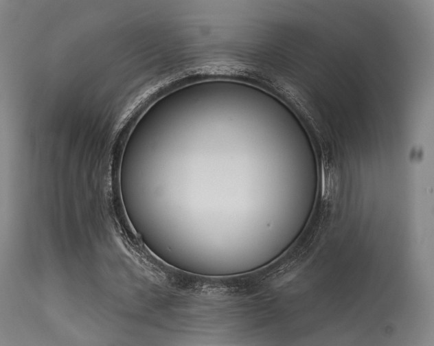 X0000113320531200909211158