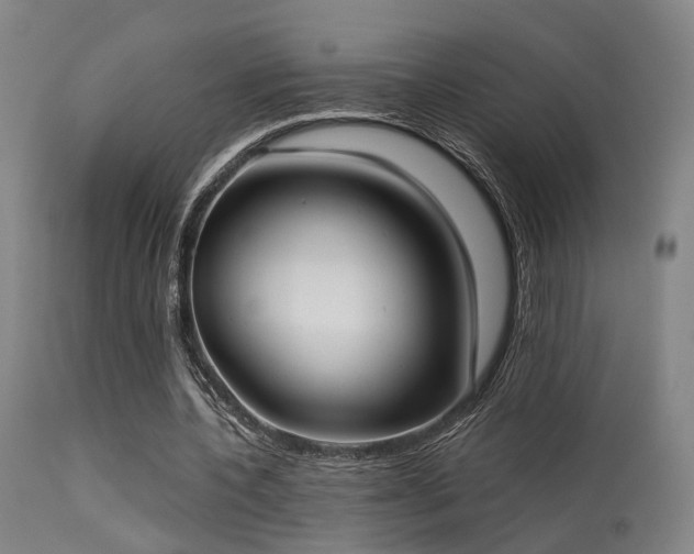 X0000113320532200909211158