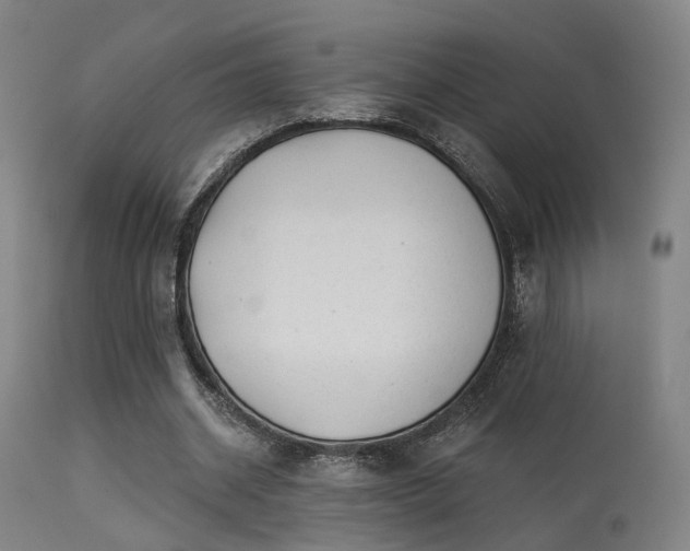 X0000113320534200909211158