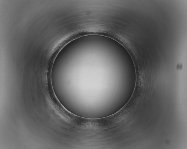 X0000113320535200909211158