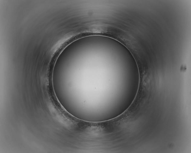 X0000113320536200909211158