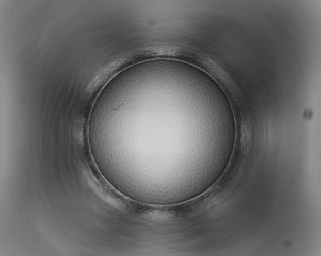 X0000113320537200909211158