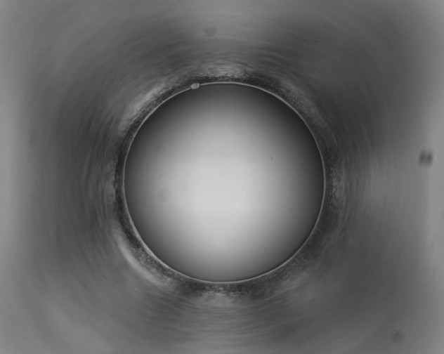 X0000113320538200909211158