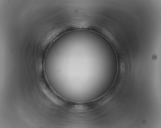 X0000113320541200909211158