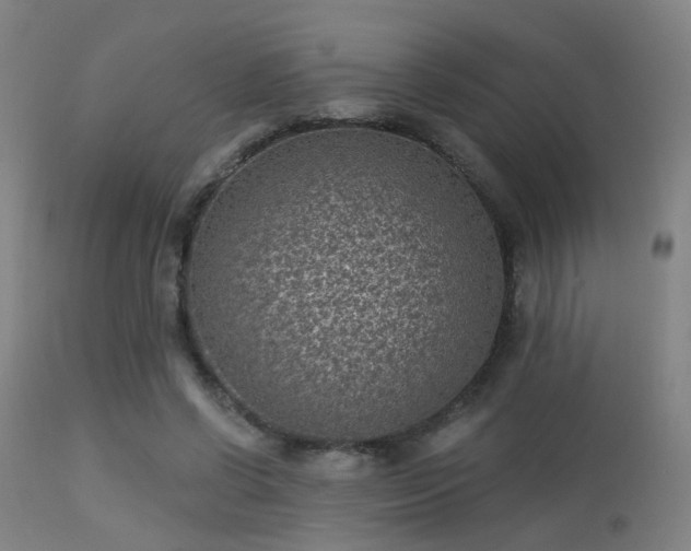 X0000113320542200909211158