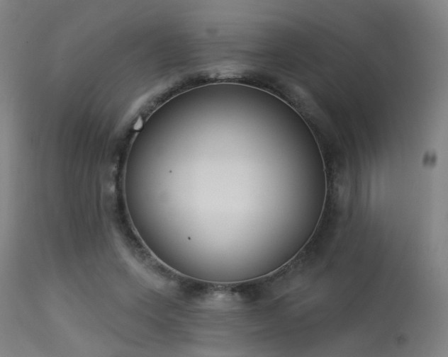 X0000113320543200909211158