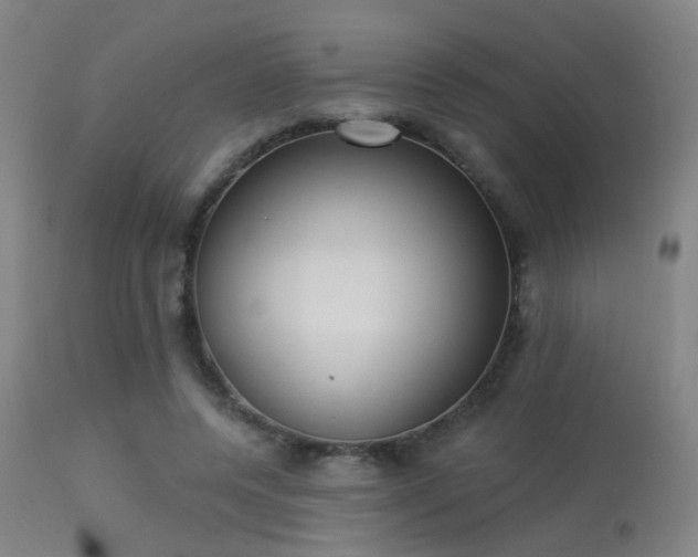 X0000113320544200909211158