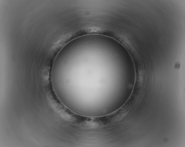 X0000113320545200909211158