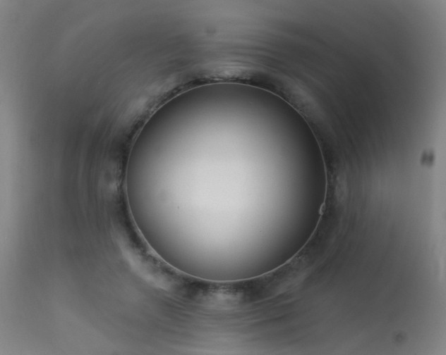 X0000113320546200909211158