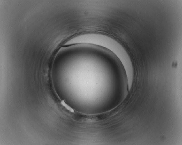 X0000113320548200909211158