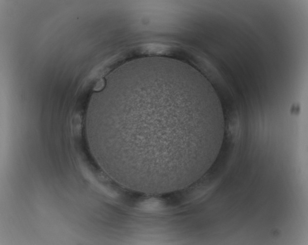 X0000113320551200909211158