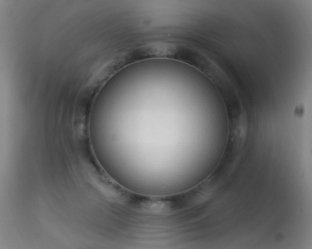 X0000113320553200909211158