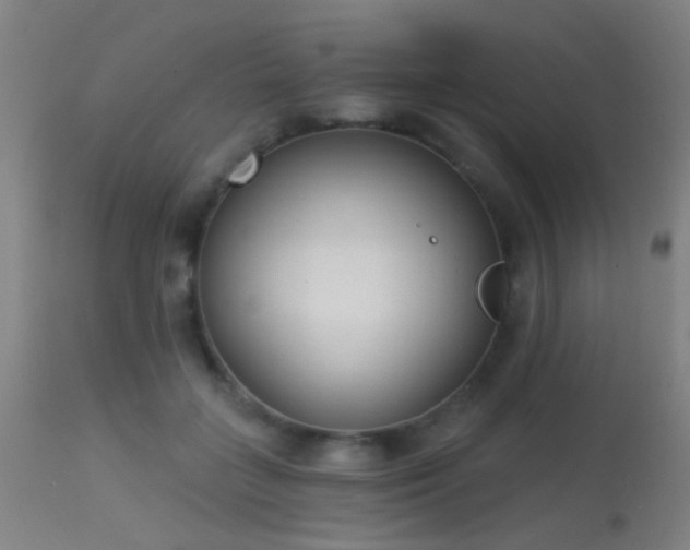 X0000113320555200909211158