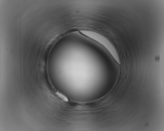 X0000113320556200909211158