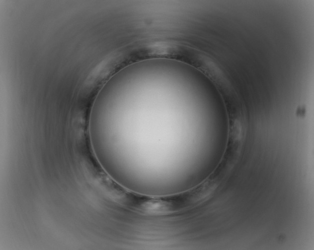 X0000113320557200909211158