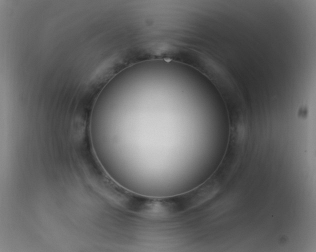 X0000113320558200909211159