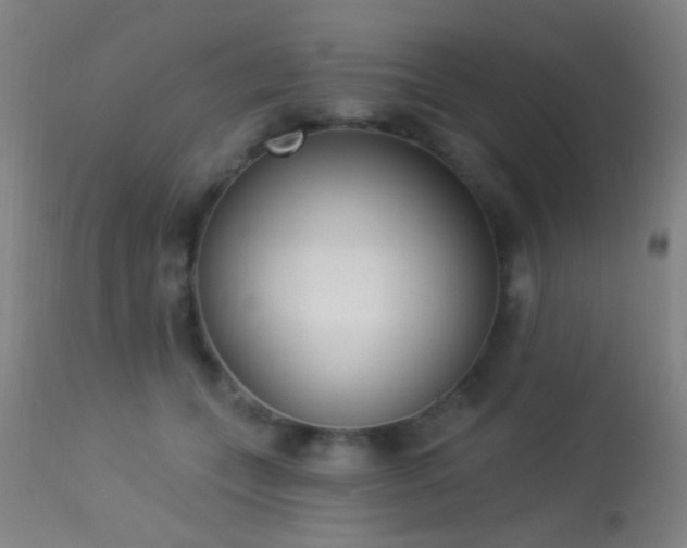 X0000113320559200909211159