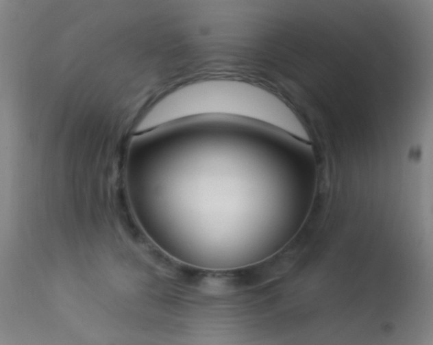 X0000113320560200909211159