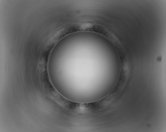 X0000113320565200909211159